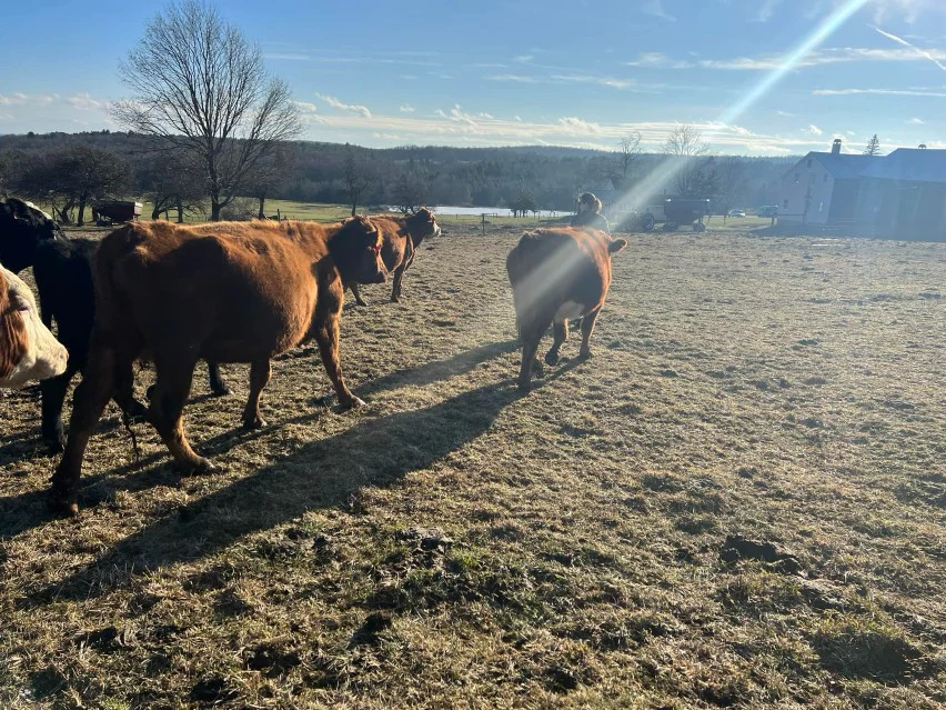 Pure Pasture-Raised Quality Meats